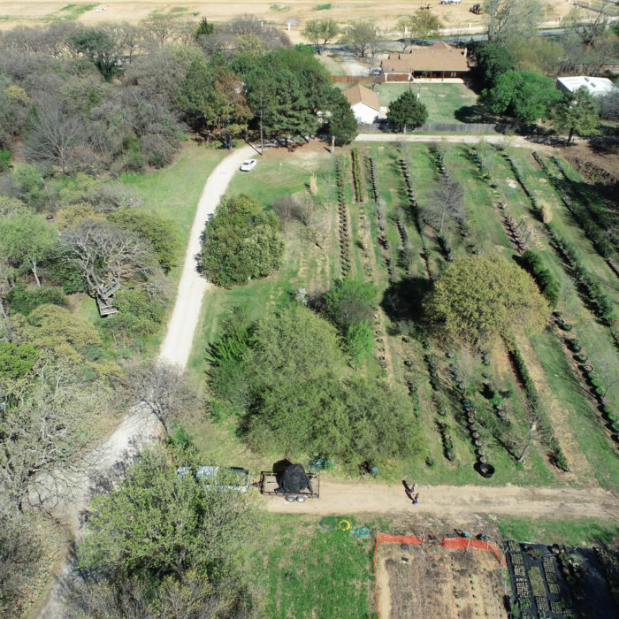 Tree Nursery For Planting at Your Colleyville, TX Home