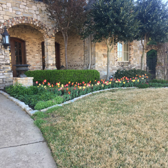 Colleyville, TX Landscape Maintenance Company