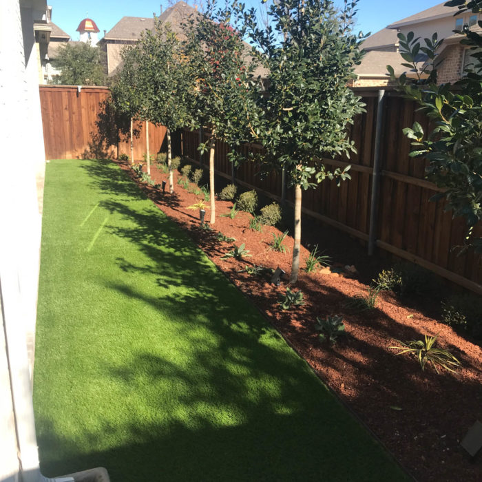 Colleyville, TX Tree Planting Services