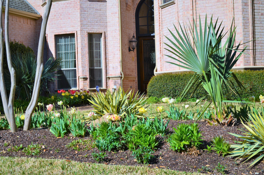 Grapevine, TX Landscaping Services